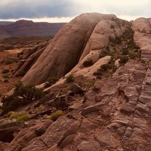 Meet your Posher, Misty